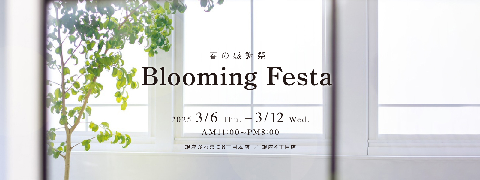 春の感謝祭「Blooming Festa」を開催します。期間は2025年3月6日火曜日から3月12日水曜日。時間午前11:00から午後8:00まで。場所は銀座かねまつ6丁目本店と銀座4丁目店になります。